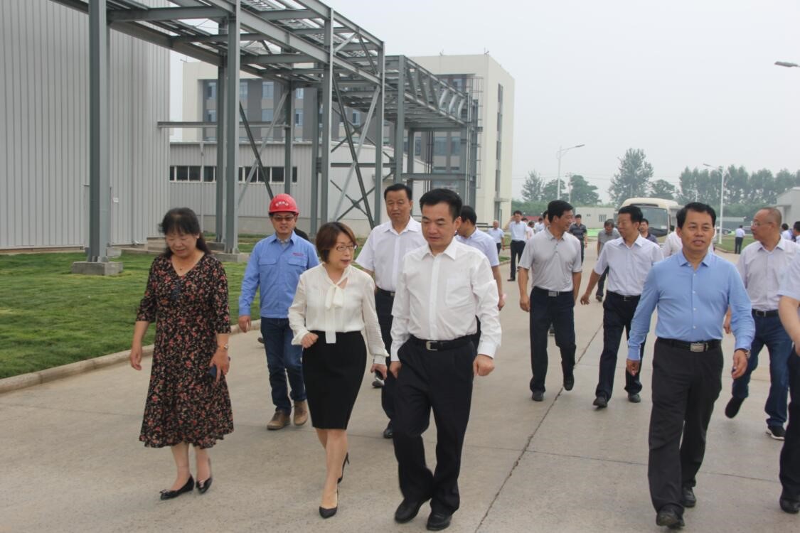 渭南市长李毅视察蒲城尊龙凯时人生就是搏科技新质料有限公司