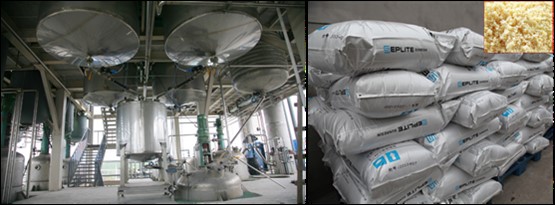 张全兴院士应邀举行《离子交流与吸附树脂生长历程与展望》报告会