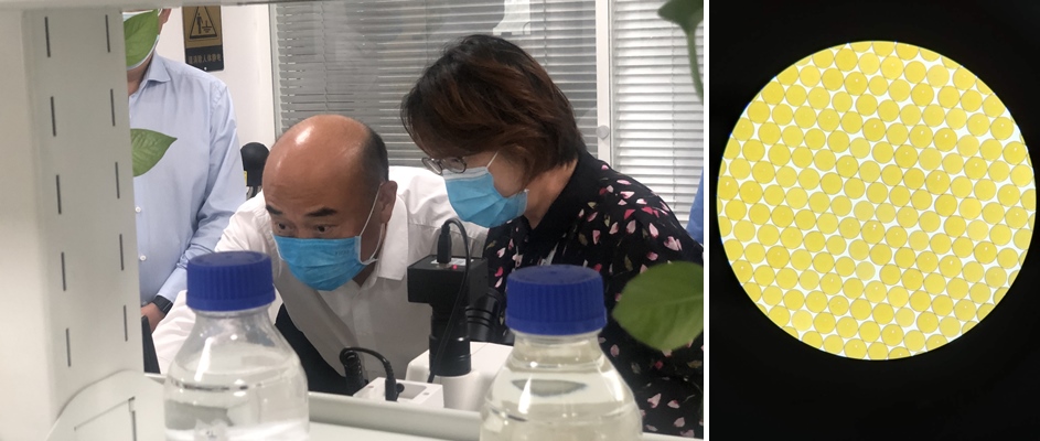 陕西省省长刘国中、西安市市长李明远一行调研高陵尊龙凯时人生就是搏工业园