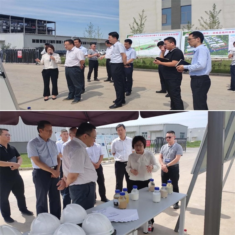 渭南市市长王琳一行调研蒲城尊龙凯时人生就是搏新质料工业园项目