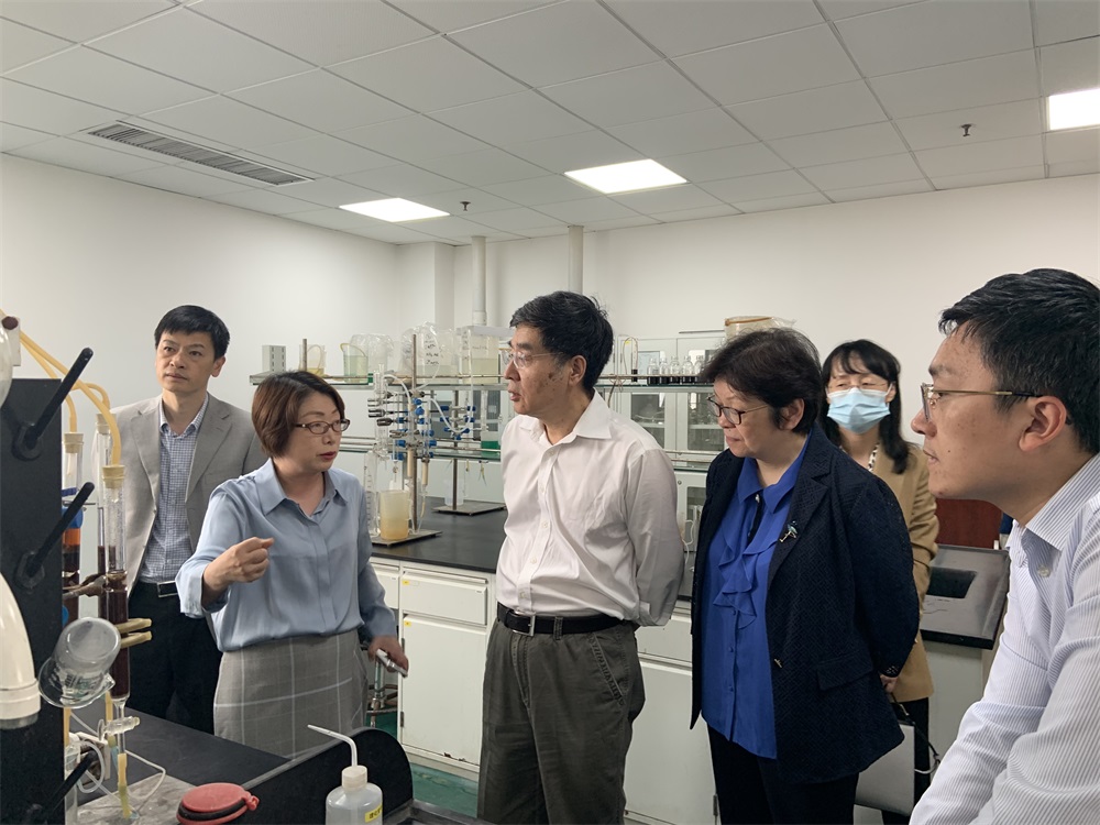 国务院生长研究中心向导莅临尊龙凯时人生就是搏科技调研