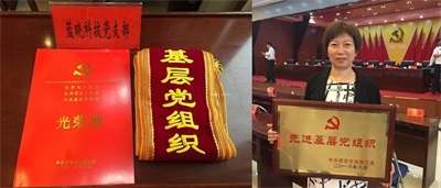 尊龙凯时人生就是搏(中国区)官方网站