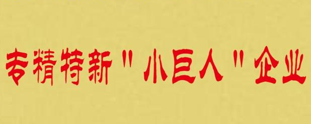 尊龙凯时人生就是搏(中国区)官方网站